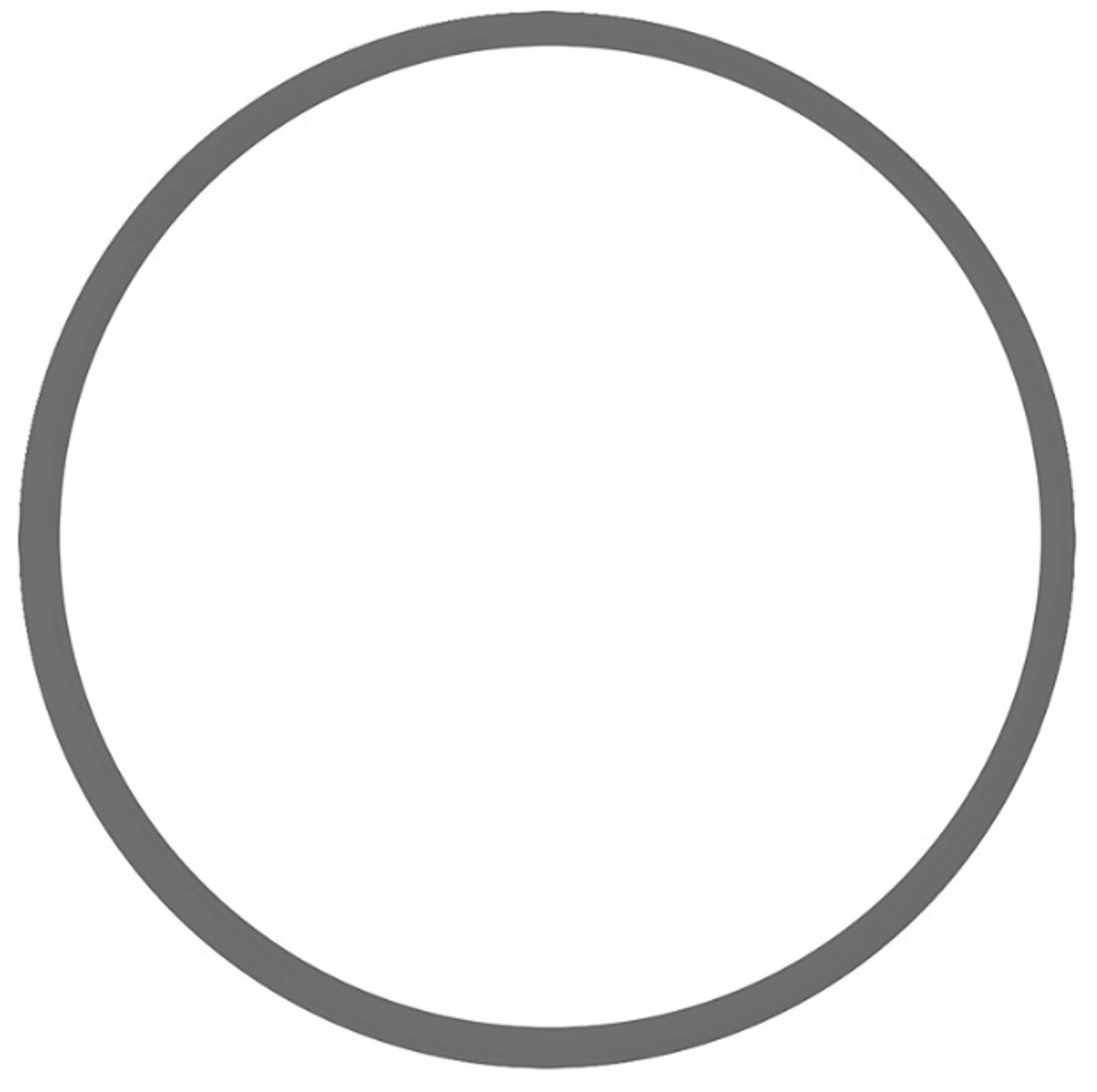 O Ring