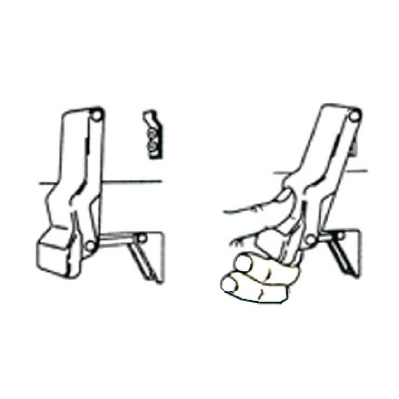 Example Image