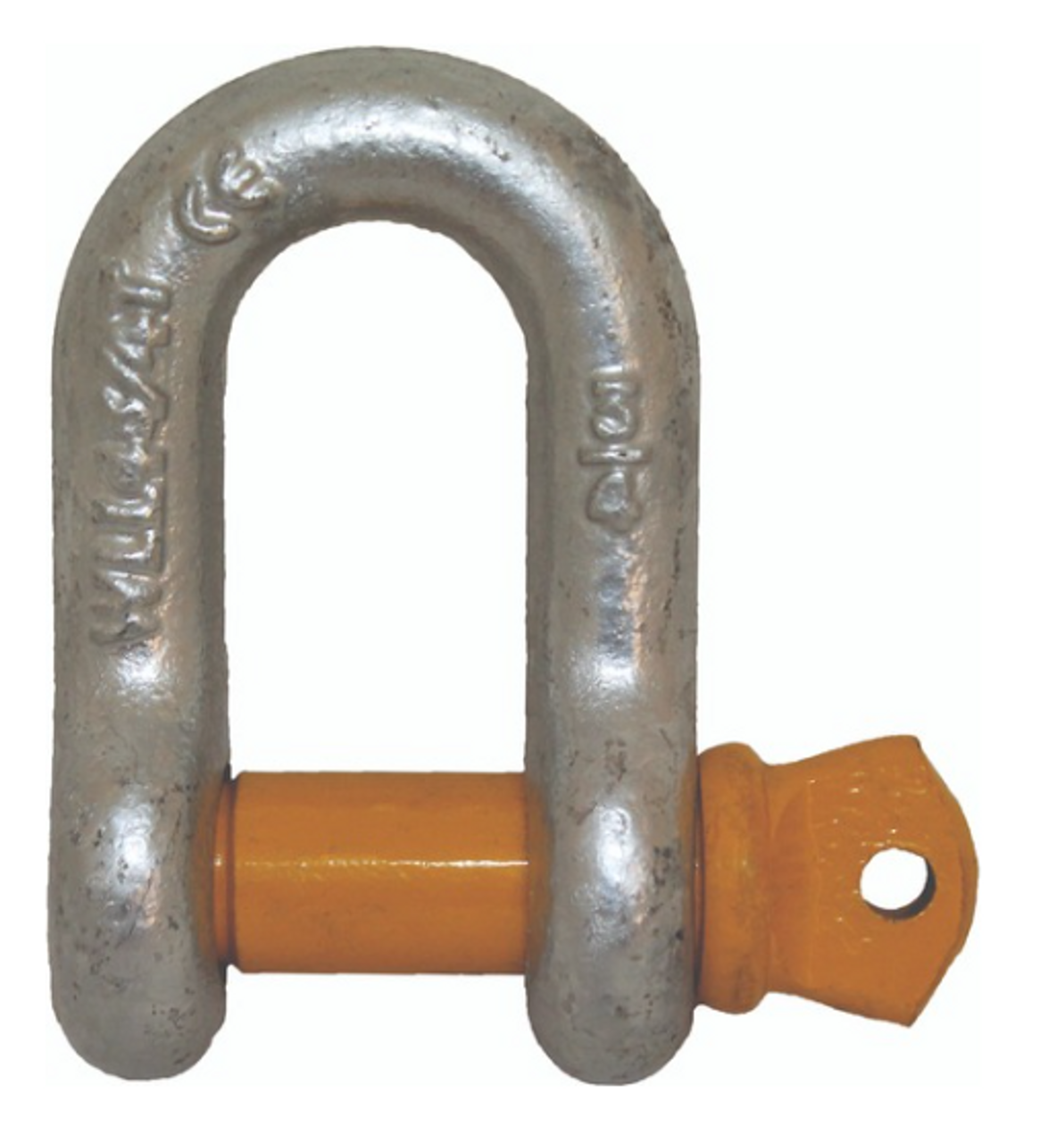D Shackle