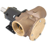 Pump - Heavy Duty Composite Pump 2" BSP