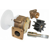 Bronze Pump Head Kit without Motor