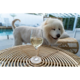 Wine Glass 315ml Set of 4  Wine Glass 315ml Set of 4