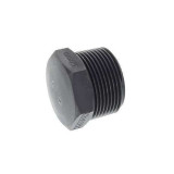 BSP Plug