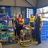 Happy 5 Months at C17!