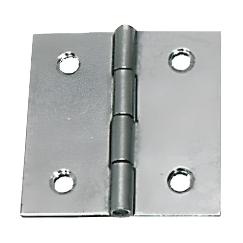 Polished Hinge