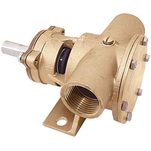 Pump - Bronze Flexible Impeller Pump 1" BSP