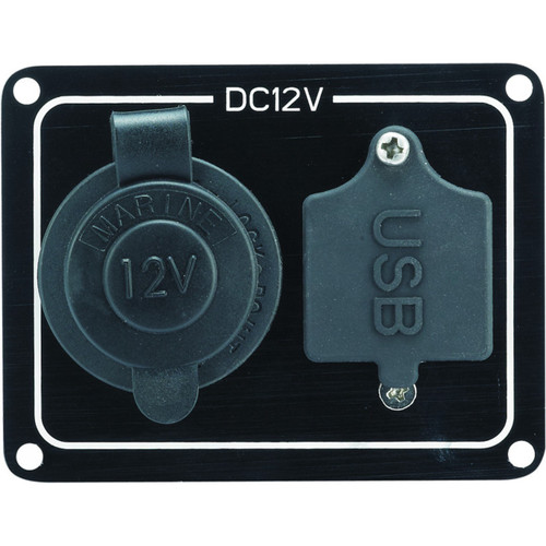 Cigarette & USB Socket Panel - 12v