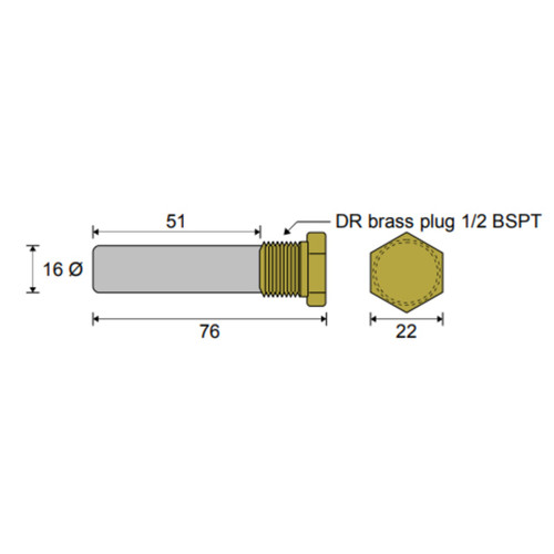 Anode with Plug