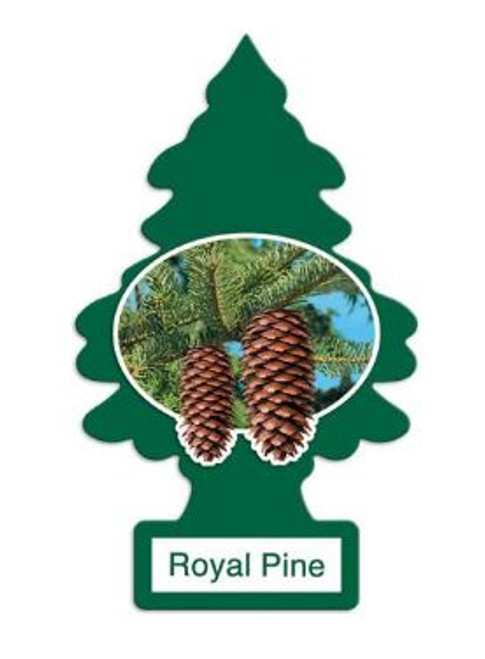 Royal Pine Little Tree