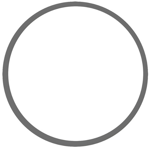 O Ring