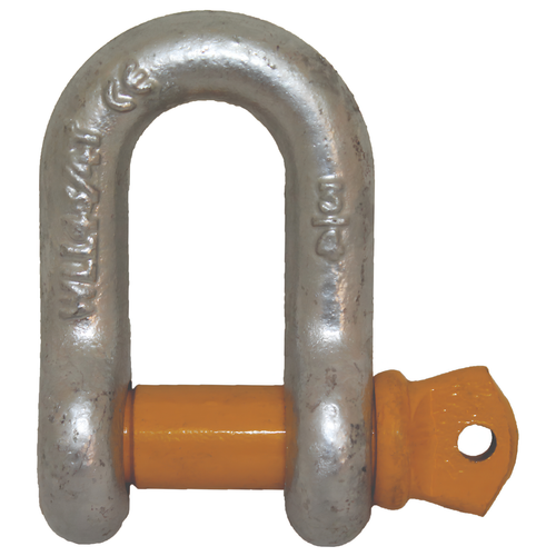 Dee Shackle - 25mm Rated | 8500Kg rwb6606