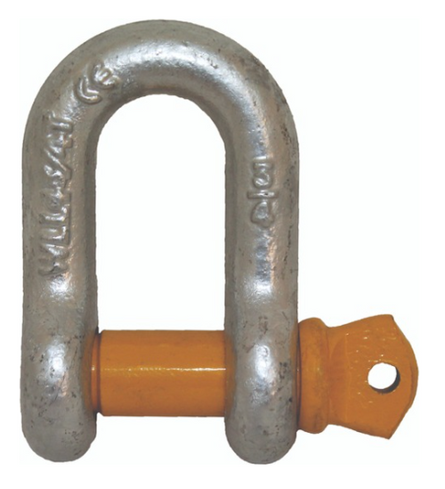 D Shackle