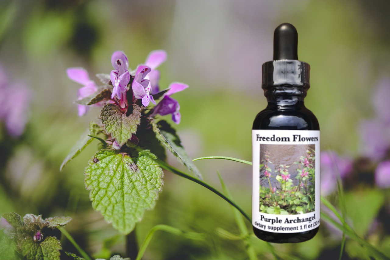 Cherry Blossom Flower Essence for Optimism and Potential – Medusa Gothic