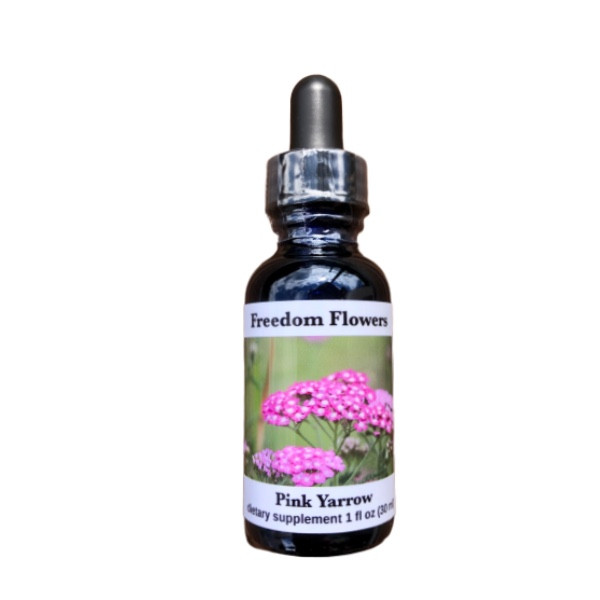 Pink Yarrow Flower Essence Freedom Flowers® LLC
