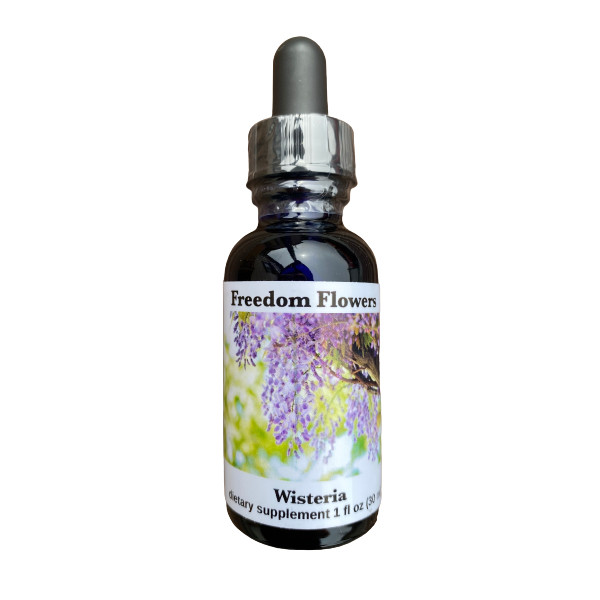 Wisteria Flower Essence Freedom Flowers Llc
