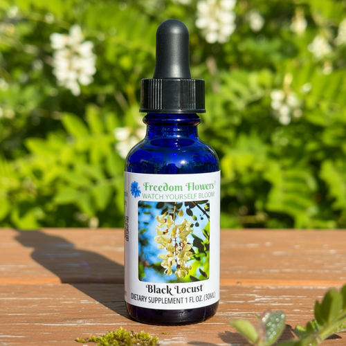 Black Locust flower essence bottle on picnic table with Locust tree blooming in background.