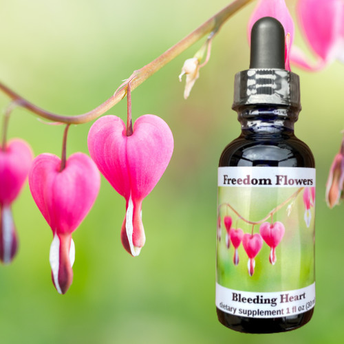 Bleeding Heart flower essence bottle with a bleeding heart branch garden photo in the background.