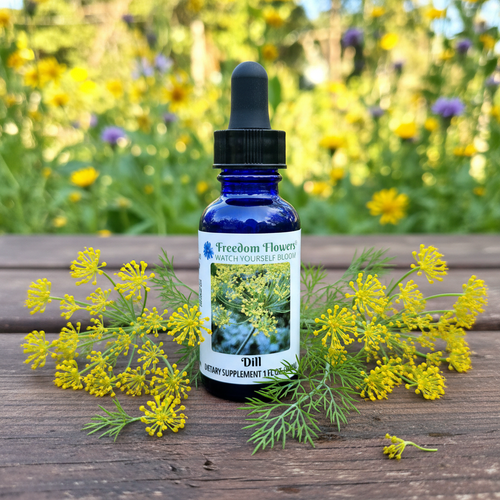 Bottle of Dill flower essence sitting on wood table with dill flowers around it.