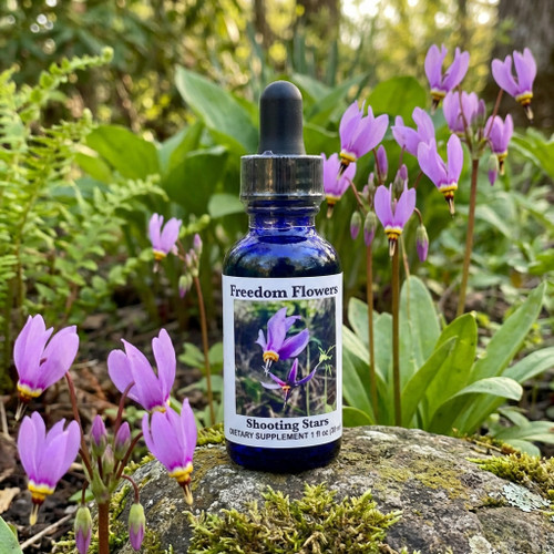 Shooting Star flower essence bottle sitting on a mossy rock with clusters of shooting stars blooming around it. 