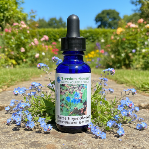 Chinese Forget Me Not flower essence bottle on sidewalk in a flower garden with forget me not flowers around it.