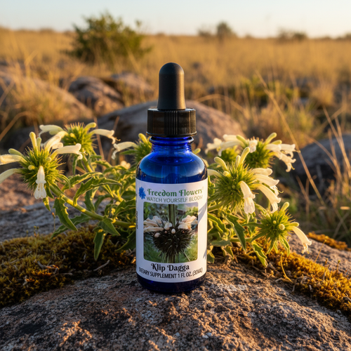 Bottle of Klip Dagga flower essence sitting on a mound of dirt in the savannah with dagga flowers around the bottle.