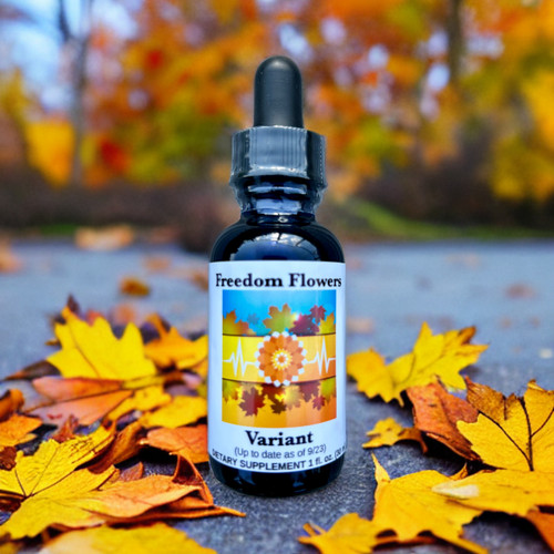 Variant bottle sitting on leaf-littered street with fall trees in the background.