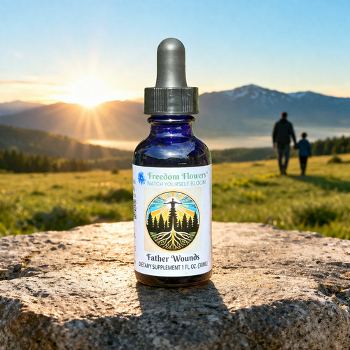 Father Wounds bottle in the foreground, with a father and child walking together in a peaceful mountain sunset background.
