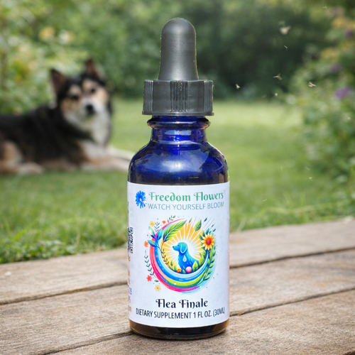Flea Finale bottle on a wooden surface outdoors, with a dog resting in a softly blurred garden background.
