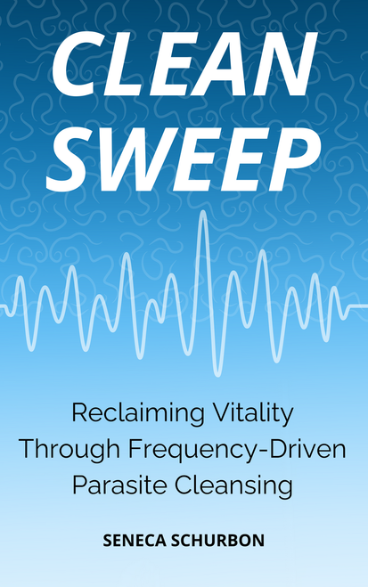 Cover of Clean Sweep book.