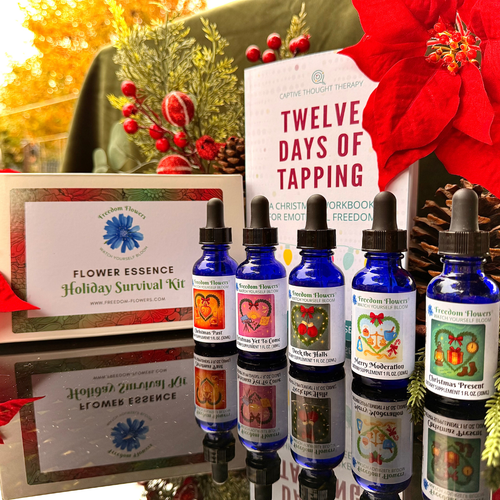 Holiday Survival Kit product image showing book and essence blends that come in the kit