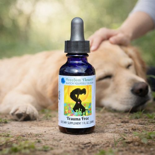 Trauma Free bottle in the foreground, with a relaxed dog being gently petted in a soft outdoor setting.