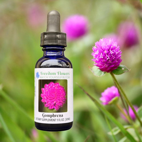 Gomphrena flower essence bottle with purple gomphrena flowers blooming in background.