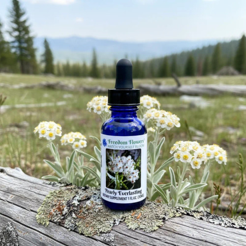 Bottle of Pearly Everlasting flower essence sitting on a lichen covered log with a moutain prairie background and pearly everlasting flowers behind the log.