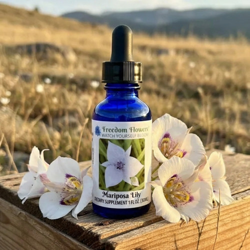Mariposa Lily flower essence bottle sitting on wooden crate in a field where the lilies grow. 