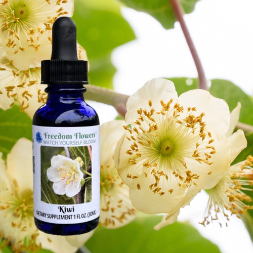 Kiwi flower essence bottle with male kiwi flowers blooming as a background.