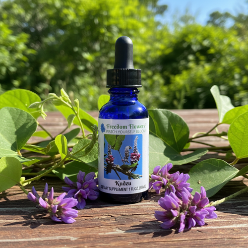 Bottle of Kudzu flower essence on a table in the sunshine with a few flowering kudzu vines around.
