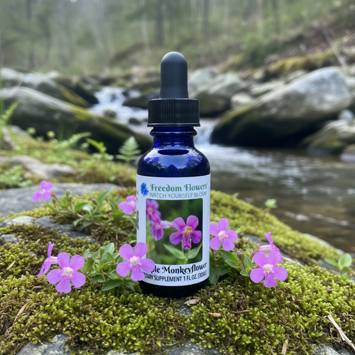 Purple Monkeyflower essence bottle on mossy rock next to stream with monkeyflowers around the bottle.