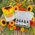 Flower Power book and box of 5 flower essences on a wooden rustic table with Zinnias and Sunflowers massed around them. 
