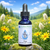 Align flower essence bottle surrounded by wildflowers under a clear blue sky