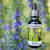 Hyssop flower essence bottle with hyssop flowers next to and behind the bottle.