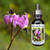 Shooting Star flower essence bottle with flower cluster in nature.