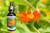 Tithonia flower essence bottle with bright orange tithonia flower in leafy green background.