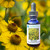 Bottle of helenium flower essence with yellow helenium flowers surrounding it.