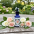 Breath of Life Rose flower essence bottle on table with roses and greenery on either side, and a lush garden in the background.