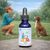 Focus for Pets bottle in the foreground, with a woman training a dog sitting obediently in a blurred outdoor setting.