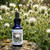 White thistle flower essence bottle sitting on a rock with white thistles blooming in the background.