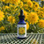 Bottle of Golden Glow flower essence sitting on patio table with Golden Glow flowers in the background.