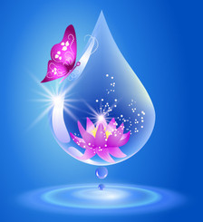 Illustration of a butterfly on a water droplet with a flower inside