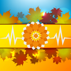 Image from bottle label: Illustration of fall leaves bordering a yellow band with a frequency wave spanning the length of it and an orange flower in the middle. 