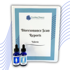 Image showing scan reports binder and two bioessence bottles that come as part of your scan